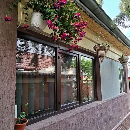 Gasthof Casa Raducu *
