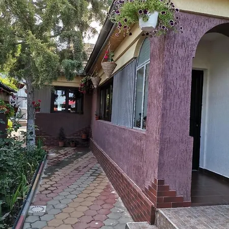 Casa Raducu Năvodari