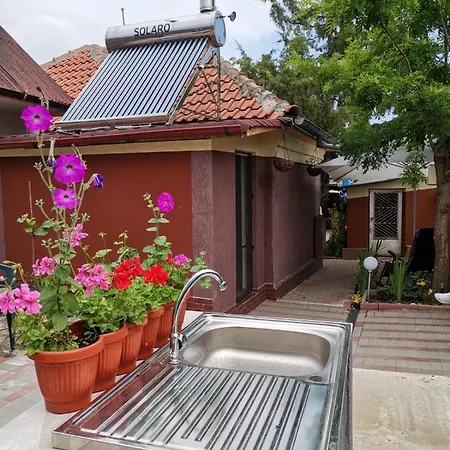 Casa Raducu Gasthof