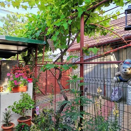 Casa Raducu