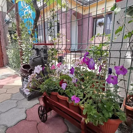 Casa Raducu Năvodari
