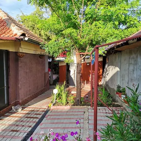 Casa Raducu Affittacamere