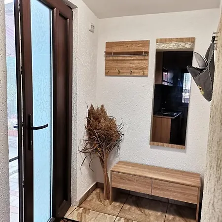 Casa Raducu Năvodari